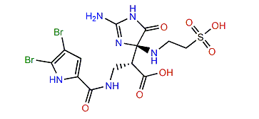 Nagelamide N